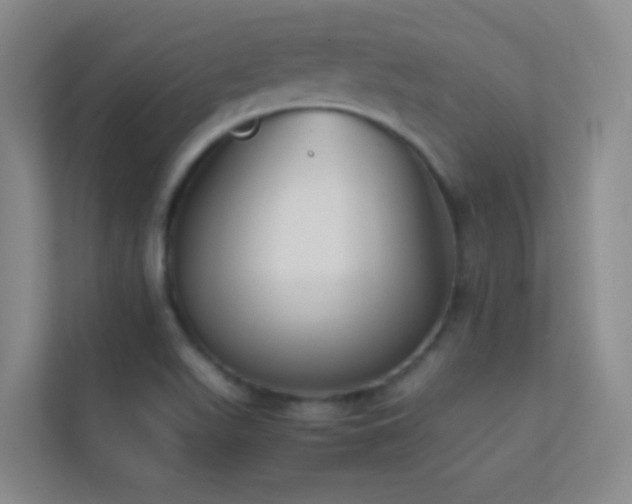 X0000113871511200909241321