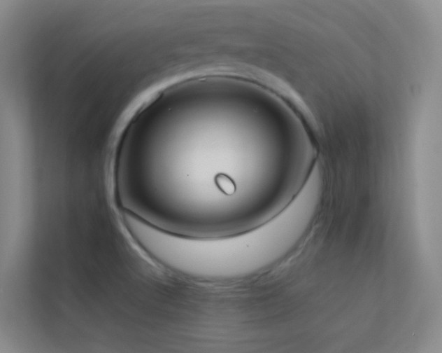 X0000113871512200909241321