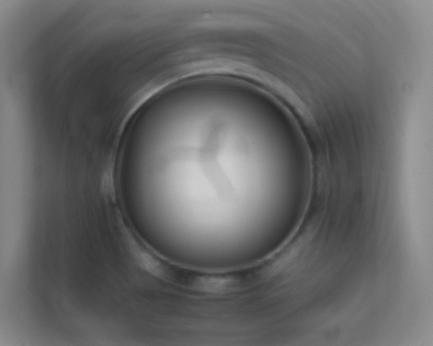 X0000113871513200909241321
