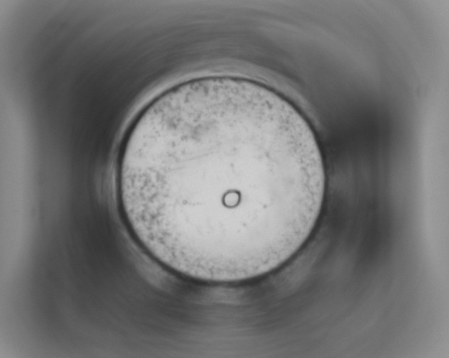 X0000113871514200909241321
