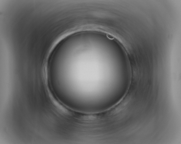 X0000113871515200909241321