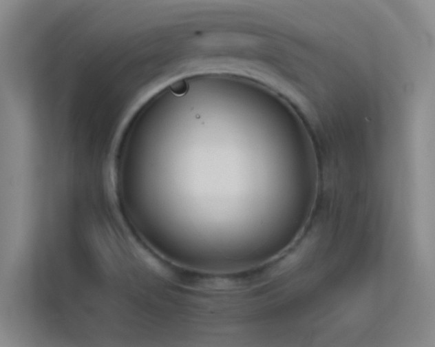 X0000113871517200909241321