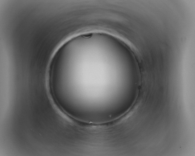X0000113871518200909241321