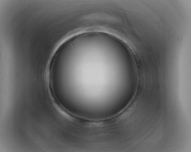 X0000113871519200909241321