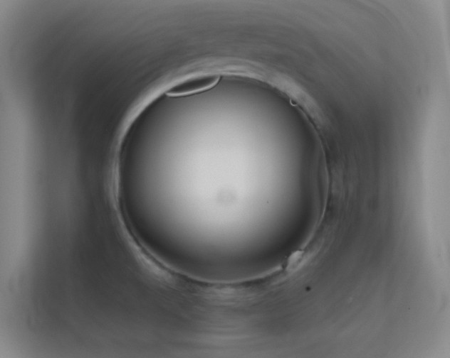 X0000113871520200909241321