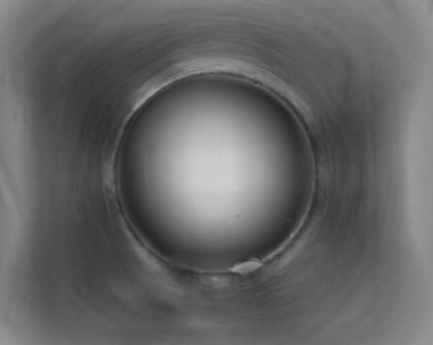 X0000113871521200909241321