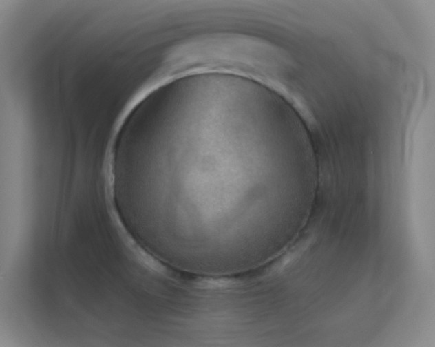 X0000113871522200909241321
