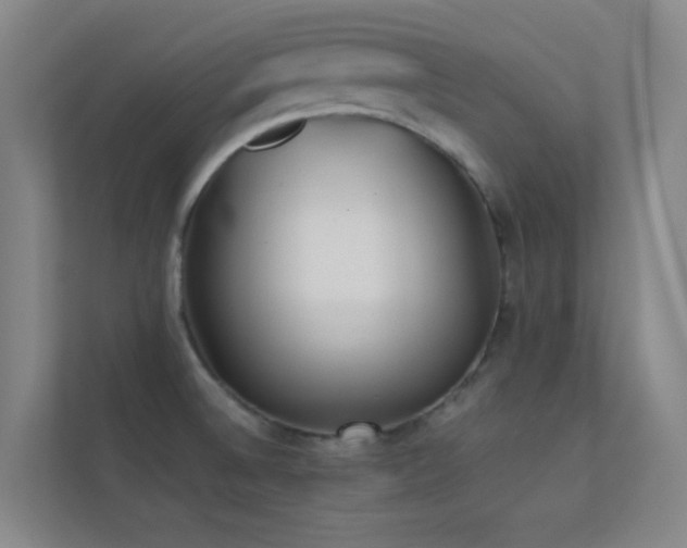 X0000113871524200909241321