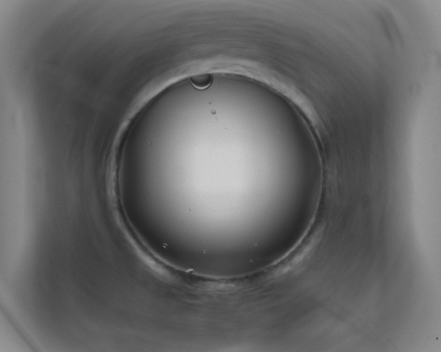X0000113871525200909241321