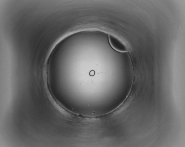 X0000113871526200909241321