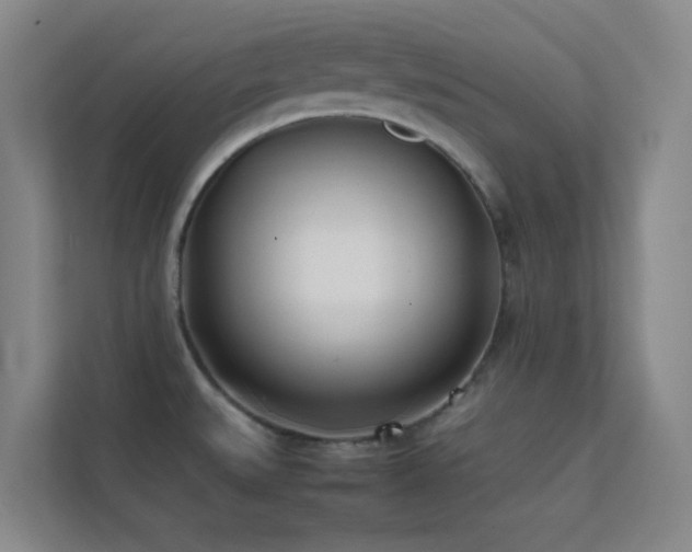 X0000113871527200909241321