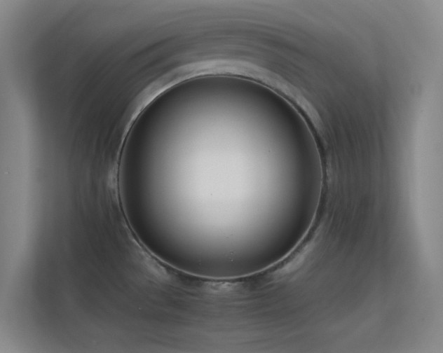 X0000113871529200909241321