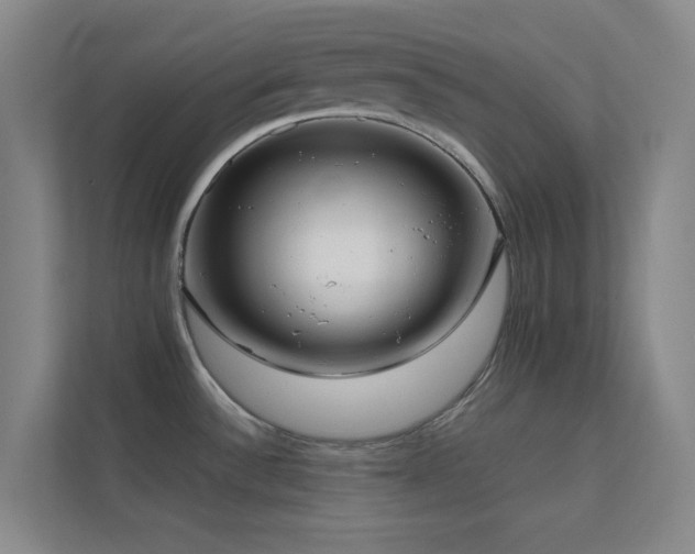 X0000113871532200909241321
