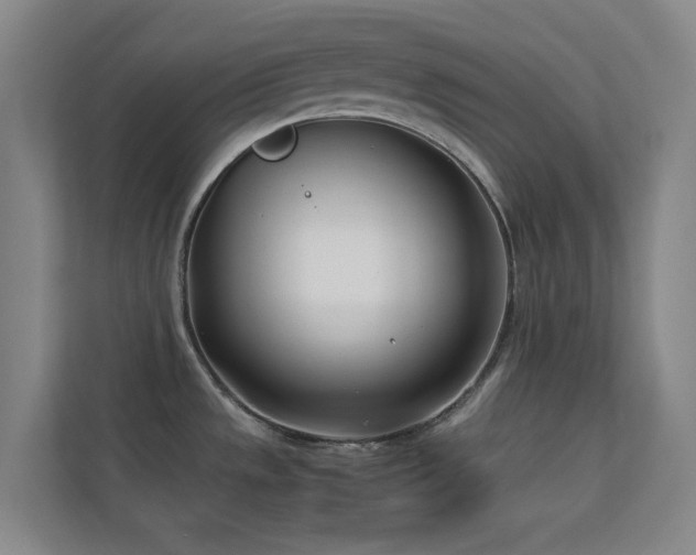 X0000113871533200909241321