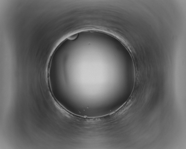 X0000113871535200909241322