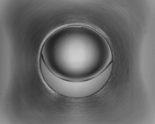 X0000113871536200909241322