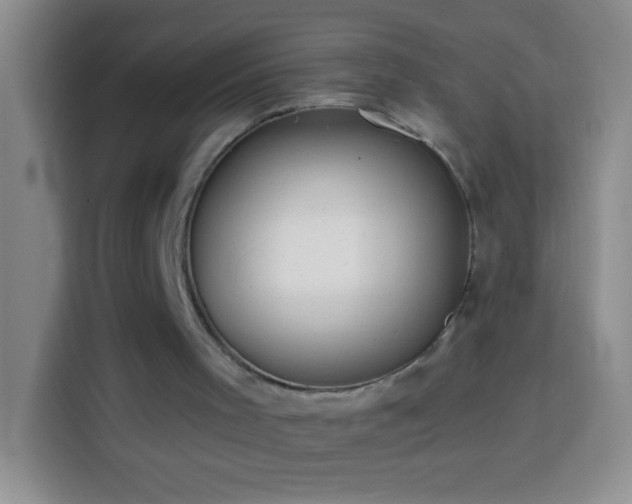 X0000113870001200910011121