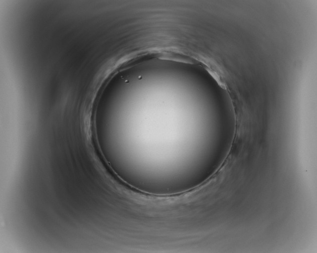 X0000113870002200910011121