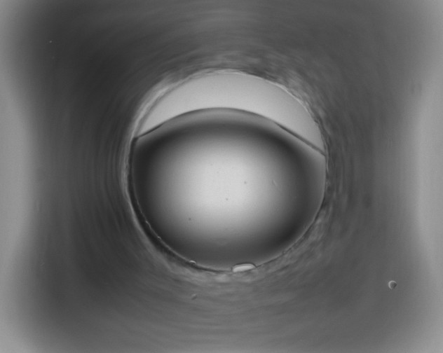 X0000113870003200910011121