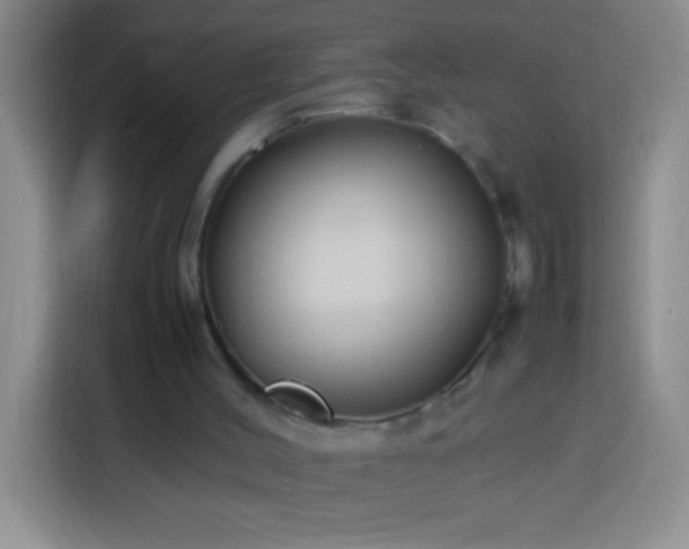 X0000113870004200910011121