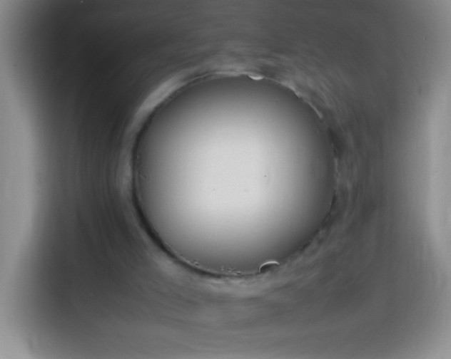 X0000113870005200910011121