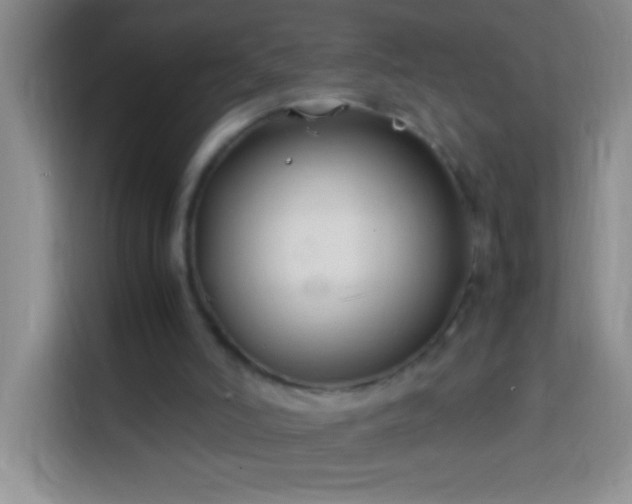 X0000113870006200910011121