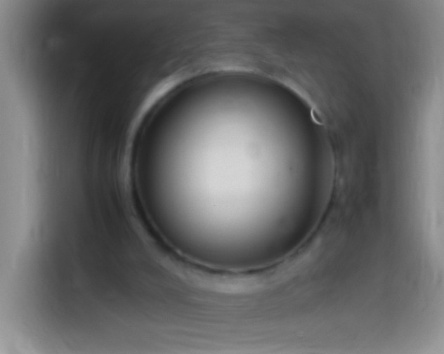 X0000113870008200910011121