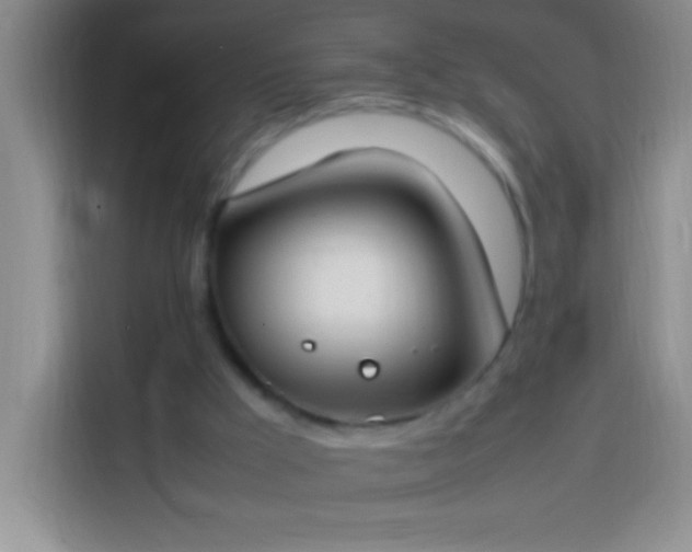 X0000113870009200910011121