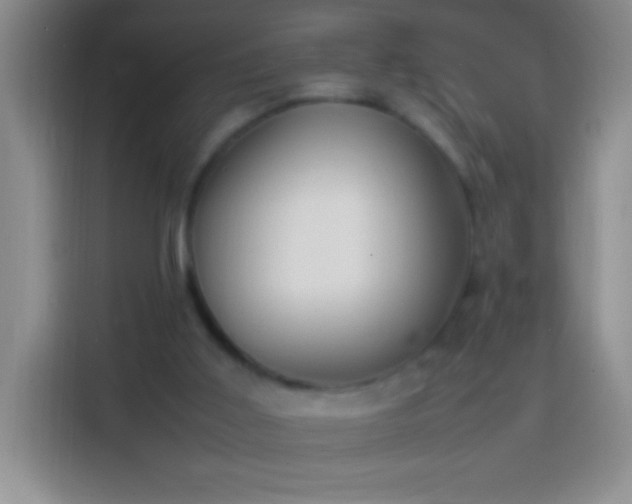 X0000113870011200910011121