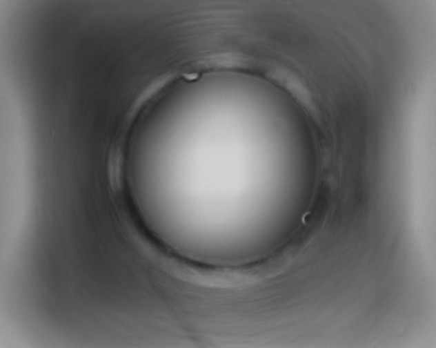 X0000113870012200910011121