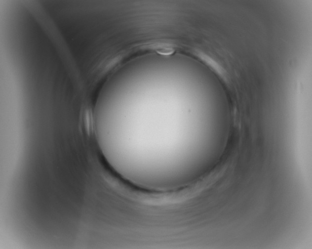 X0000113870013200910011121