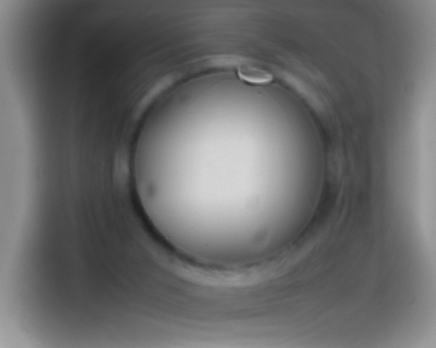 X0000113870015200910011121