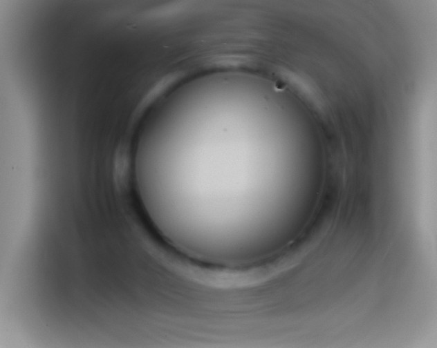 X0000113870016200910011121