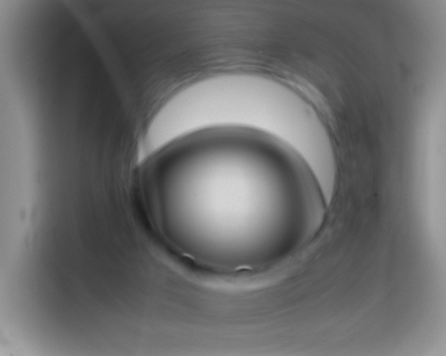 X0000113870017200910011121