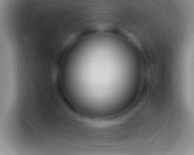 X0000113870018200910011121