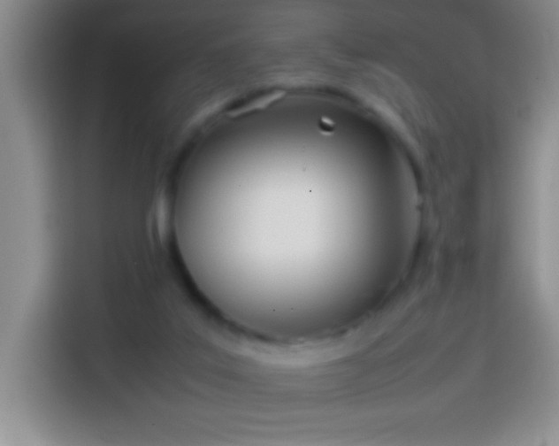 X0000113870019200910011121