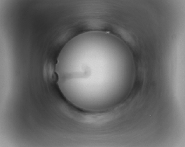 X0000113870021200910011121