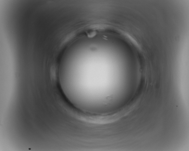 X0000113870023200910011121