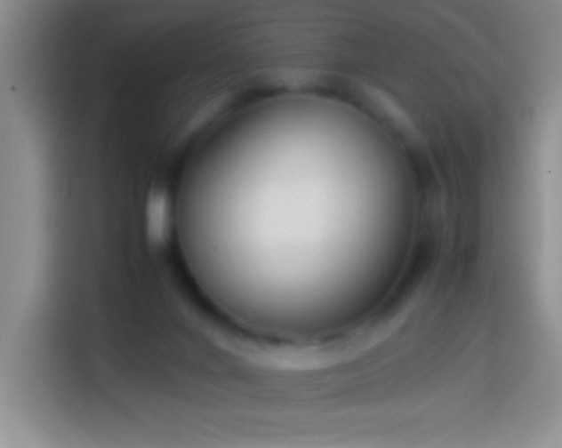 X0000113870024200910011121