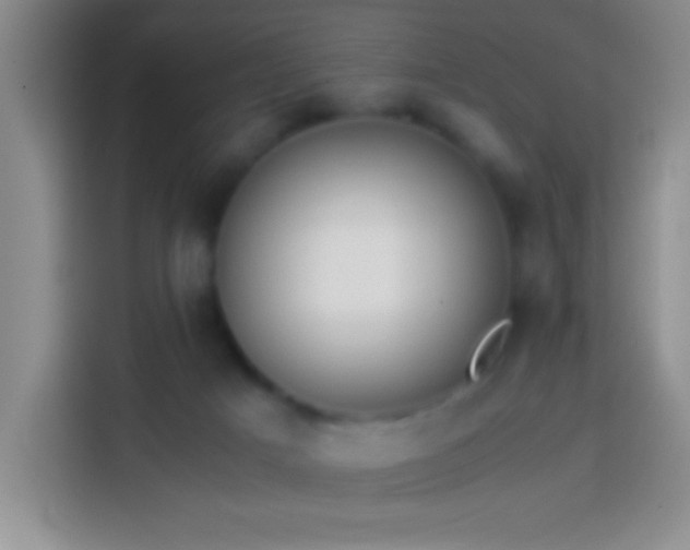 X0000113870025200910011121