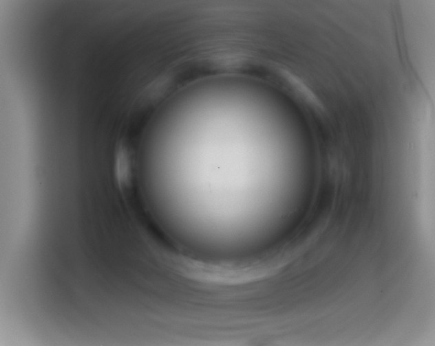 X0000113870026200910011121