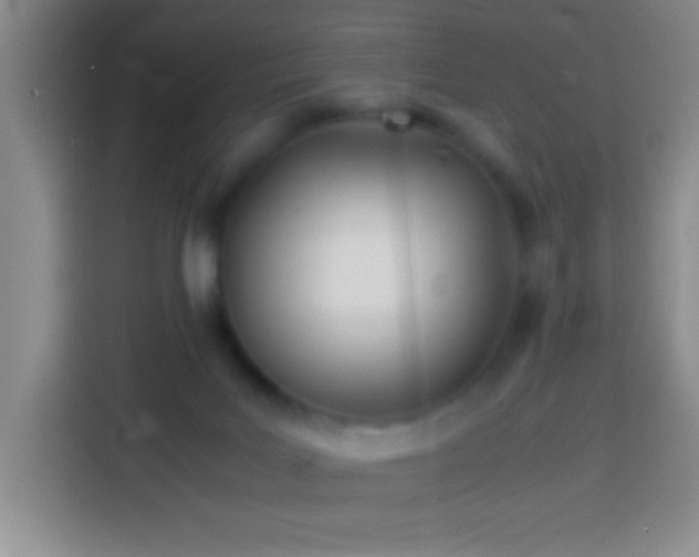 X0000113870027200910011121