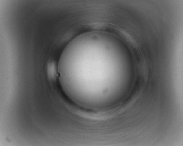 X0000113870028200910011121