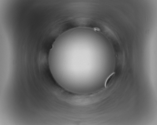 X0000113870029200910011121