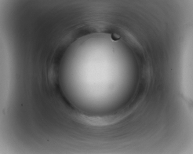 X0000113870030200910011121