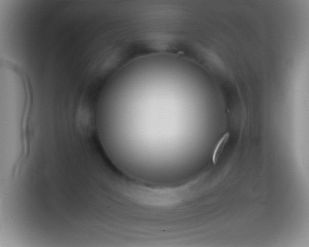 X0000113870031200910011121