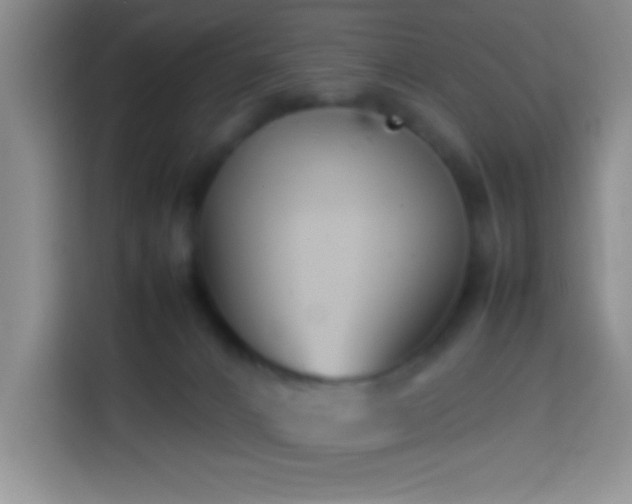 X0000113870032200910011121