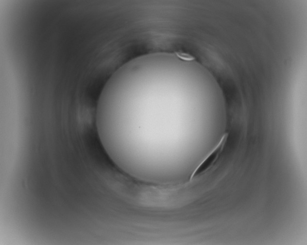 X0000113870033200910011121