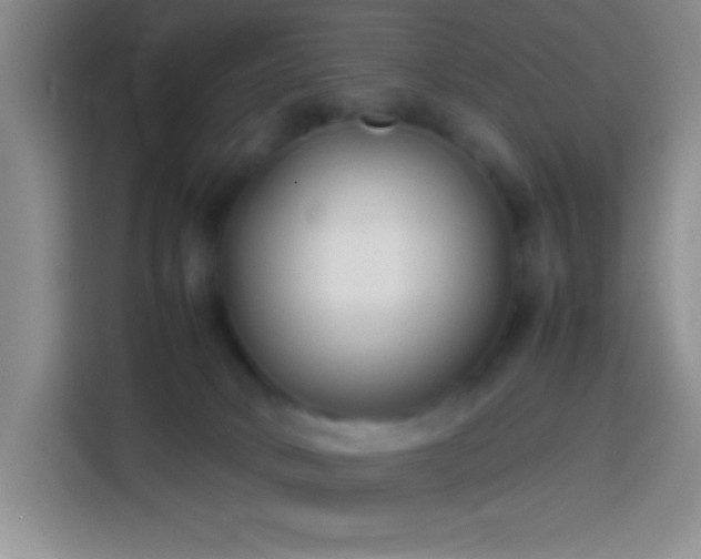 X0000113870034200910011121