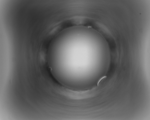 X0000113870035200910011121